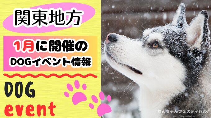 犬イベント　関東地区　東京都　千葉県　神奈川県　埼玉県　群馬県　栃木県　茨城県　2025年　1月