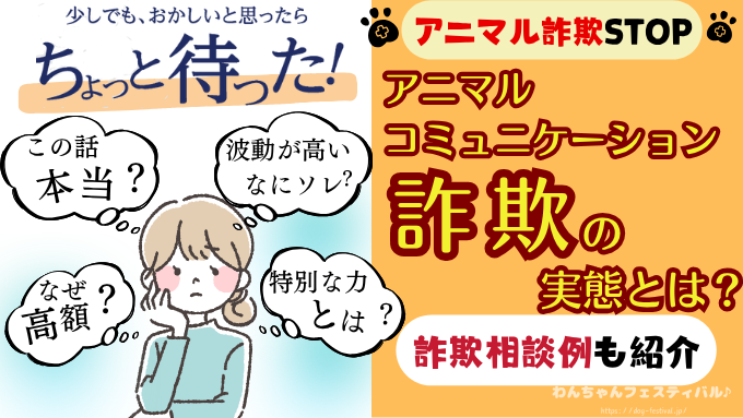 アニマルコミュニケーションの怪しい実態！詐欺講座の料金や評判・手口も解説