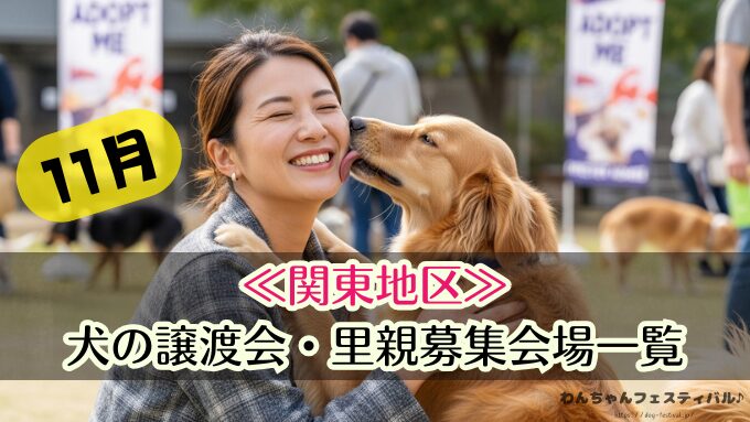 関東　11月　2025年　犬　保護犬　譲渡会　里親　ペットショップ売れ残りの犬　東京　埼玉　千葉　神奈川　茨城　栃木　群馬