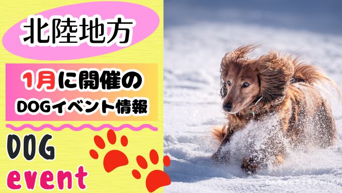 北陸地方　犬イベント　一覧　開催場所　日程　2026　1月