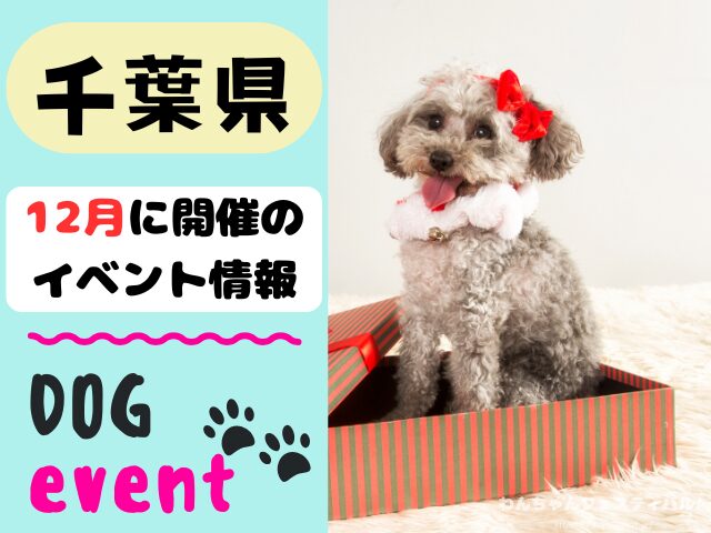 犬イベント　関東地区　東京都　千葉県　神奈川県　埼玉県　群馬県　栃木県　茨城県　2025年　12月