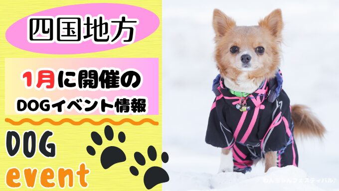 四国　犬イベント　一覧　開催場所　日程　2026　1月