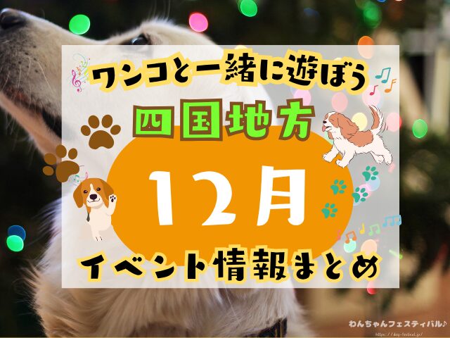 四国　犬イベント　12月　徳島　香川　愛媛　高知