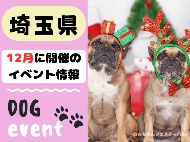 犬イベント　関東地区　東京都　千葉県　神奈川県　埼玉県　群馬県　栃木県　茨城県　2025年　12月