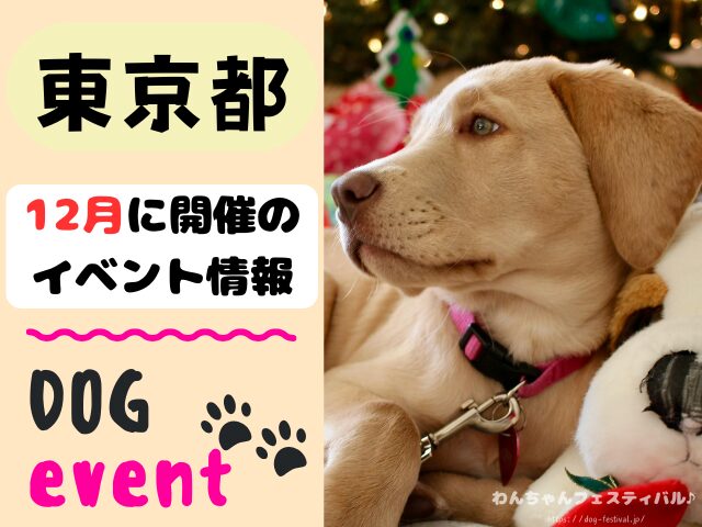 犬イベント　関東地区　東京都　千葉県　神奈川県　埼玉県　群馬県　栃木県　茨城県　2025年　12月