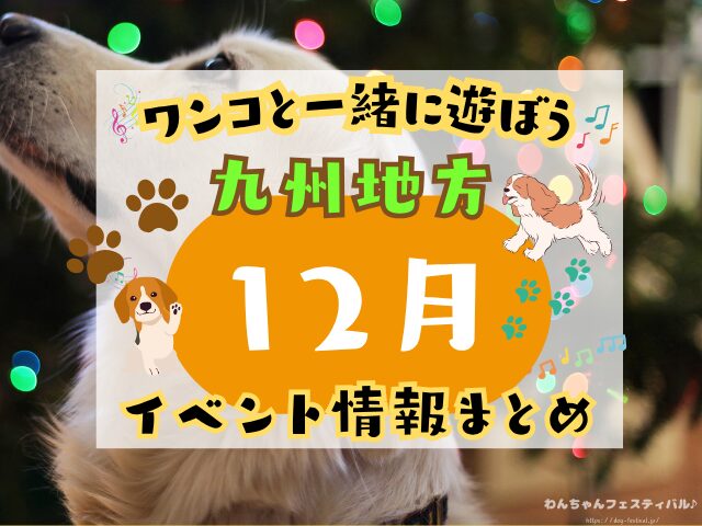犬イベント　九州　福岡県　佐賀県　長崎県　熊本県　大分県　宮崎県　鹿児島県　2025年　12月