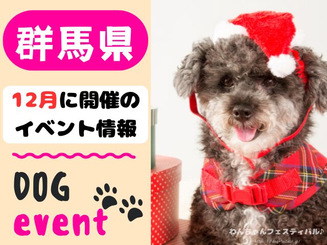 犬イベント　関東地区　東京都　千葉県　神奈川県　埼玉県　群馬県　栃木県　茨城県　2025年　12月