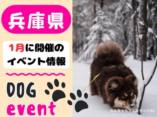 関西　犬イベント　一覧　開催場所　日程　2026　1月　大阪府　京都府　兵庫県　奈良県　滋賀県　和歌山県