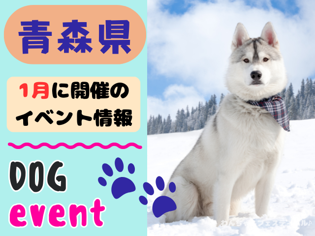 犬イベント 東北地方 青森県 岩手県 秋田県 宮城県 山形県 福島県 2026年 1月