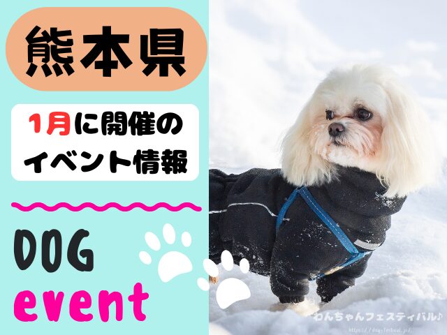 犬イベント 九州 福岡県 佐賀県 長崎県 熊本県 大分県 宮崎県 鹿児島県 2026年 1月