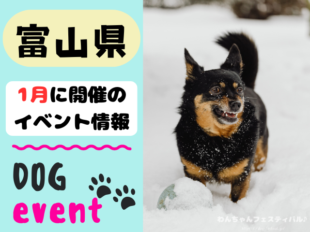 北陸地方 犬イベント 一覧 開催場所 日程 2026 1月