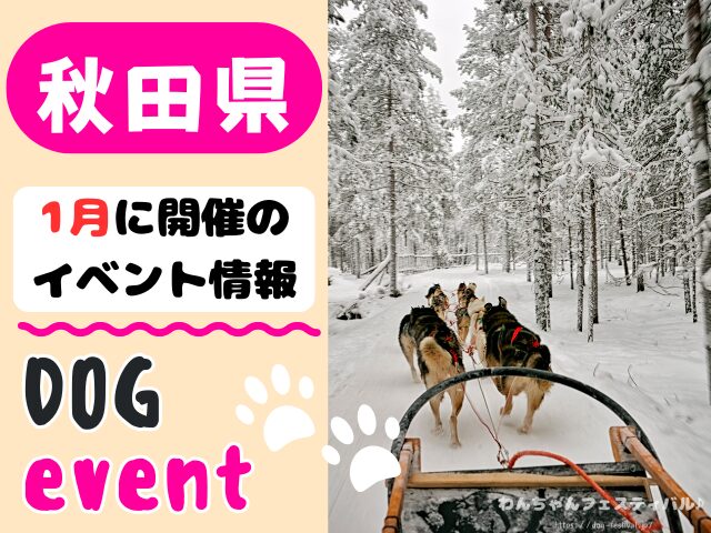 犬イベント 東北地方 青森県 岩手県 秋田県 宮城県 山形県 福島県 2026年 1月