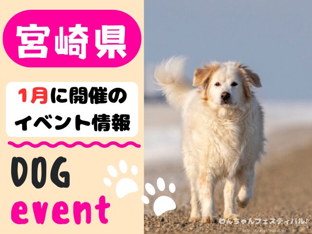 犬イベント 九州 福岡県 佐賀県 長崎県 熊本県 大分県 宮崎県 鹿児島県 2026年 1月