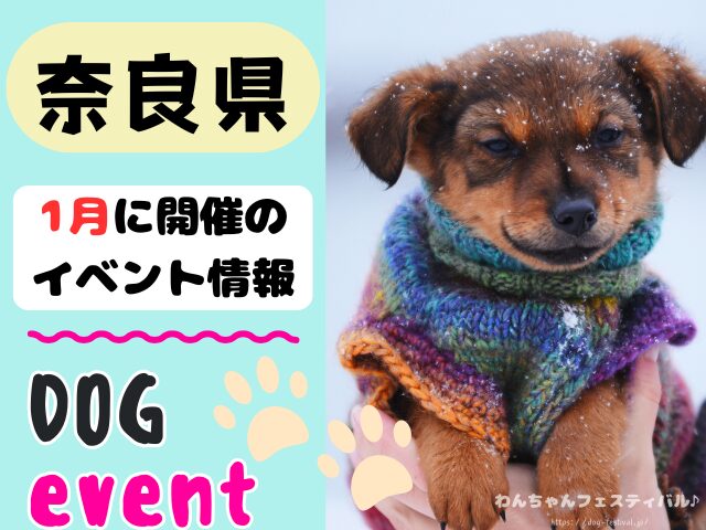 関西　犬イベント　一覧　開催場所　日程　2026　1月　大阪府　京都府　兵庫県　奈良県　滋賀県　和歌山県