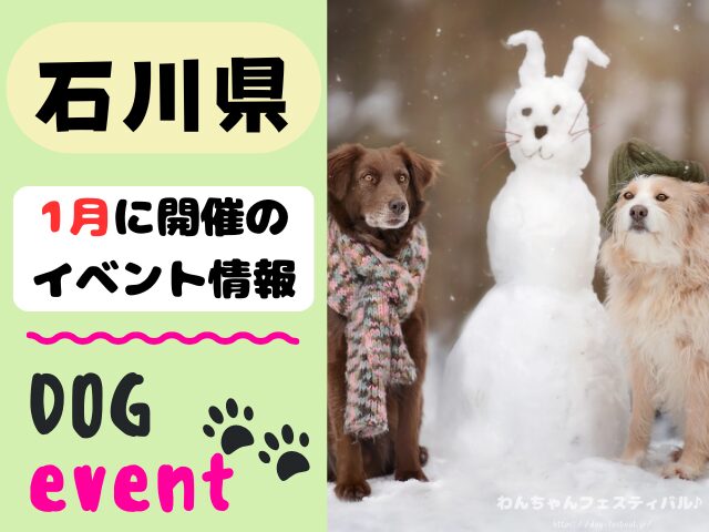 北陸地方 犬イベント 一覧 開催場所 日程 2026 1月