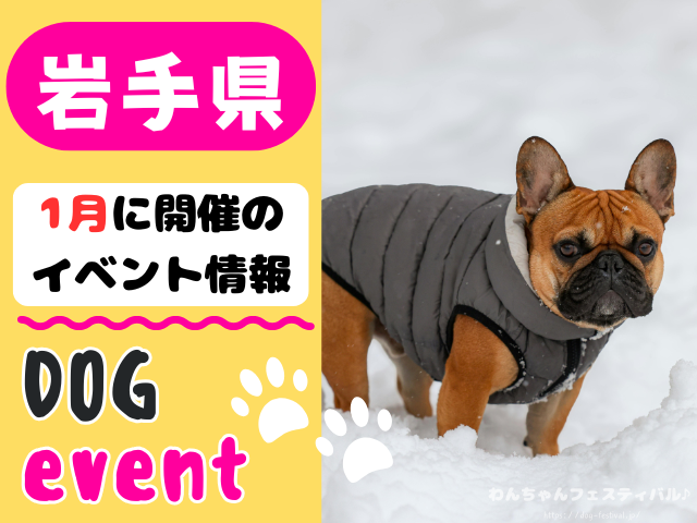 犬イベント 東北地方 青森県 岩手県 秋田県 宮城県 山形県 福島県 2026年 1月