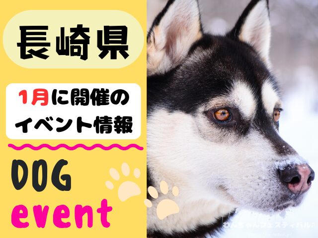 犬イベント 九州 福岡県 佐賀県 長崎県 熊本県 大分県 宮崎県 鹿児島県 2026年 1月