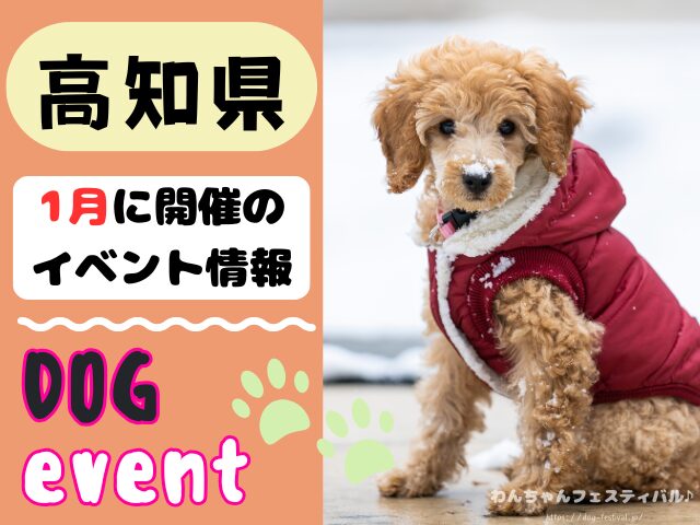 高知　犬イベント　1月