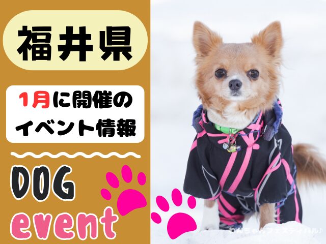 北陸地方 犬イベント 一覧 開催場所 日程 2026 1月