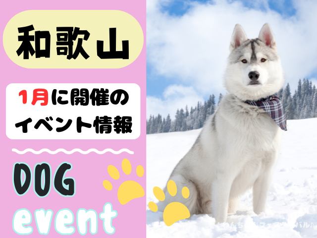 関西　犬イベント　一覧　開催場所　日程　2026　1月　大阪府　京都府　兵庫県　奈良県　滋賀県　和歌山県