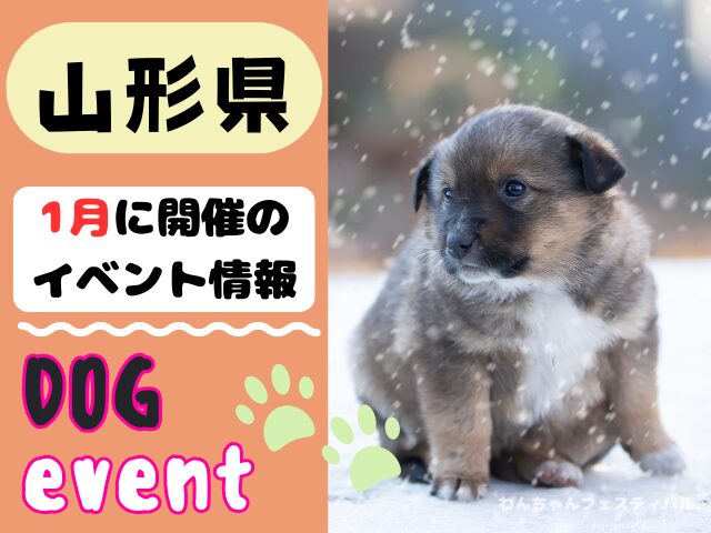 犬イベント 東北地方 青森県 岩手県 秋田県 宮城県 山形県 福島県 2026年 1月
