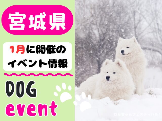 犬イベント 東北地方 青森県 岩手県 秋田県 宮城県 山形県 福島県 2026年 1月