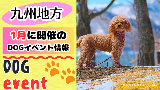 九州　犬イベント　一覧　開催場所　日程　2026　1月