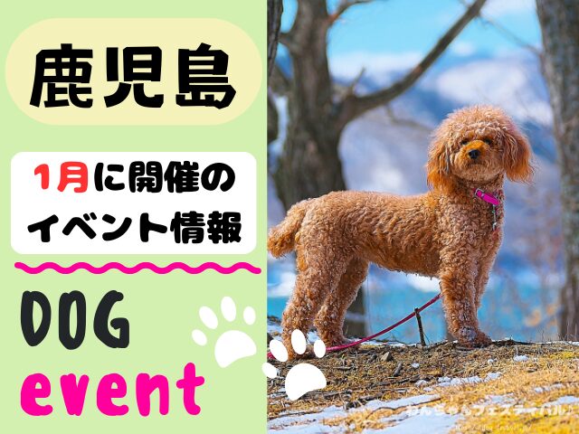 犬イベント 九州 福岡県 佐賀県 長崎県 熊本県 大分県 宮崎県 鹿児島県 2026年 1月