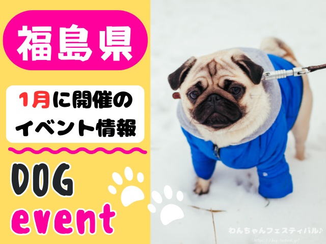 犬イベント 東北地方 青森県 岩手県 秋田県 宮城県 山形県 福島県 2026年 1月