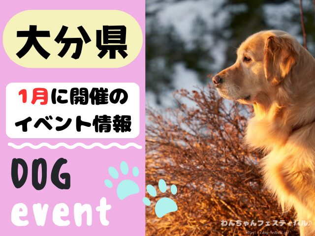 犬イベント 九州 福岡県 佐賀県 長崎県 熊本県 大分県 宮崎県 鹿児島県 2026年 1月
