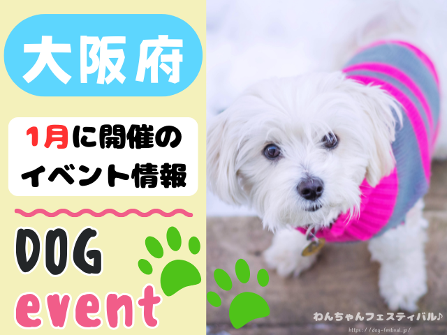 関西　犬イベント　一覧　開催場所　日程　2026　1月　大阪府　京都府　兵庫県　奈良県　滋賀県　和歌山県