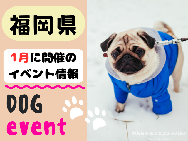 犬イベント 九州 福岡県 佐賀県 長崎県 熊本県 大分県 宮崎県 鹿児島県 2026年 1月