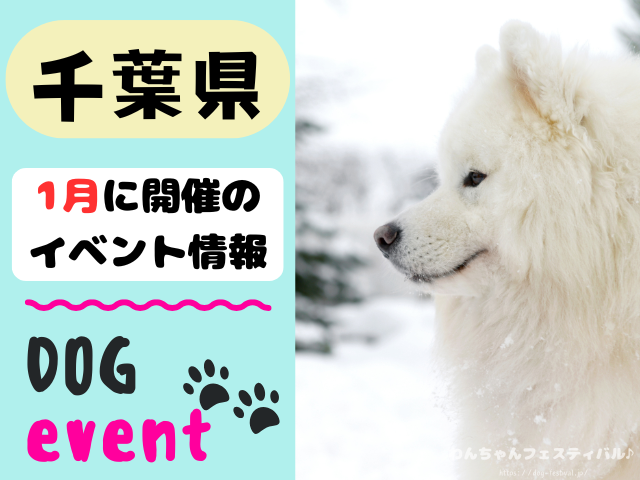 犬イベント　関東地区　東京都　千葉県　神奈川県　埼玉県　群馬県　栃木県　茨城県　2025年　1月