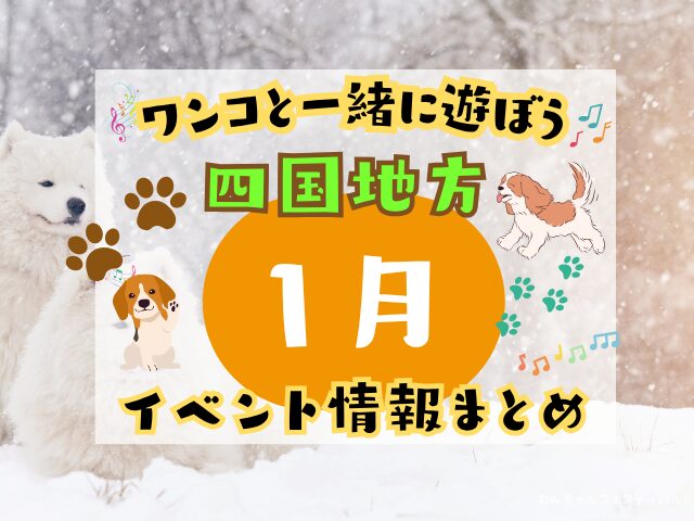 四国　犬イベント　1月　徳島　香川　愛媛　高知