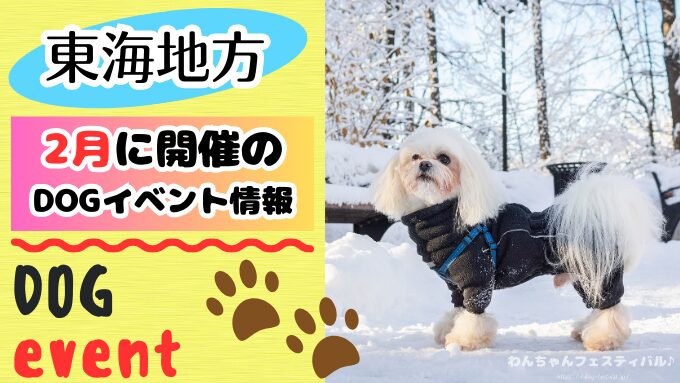 東海　犬イベント　一覧　開催場所　日程　2026年　2月