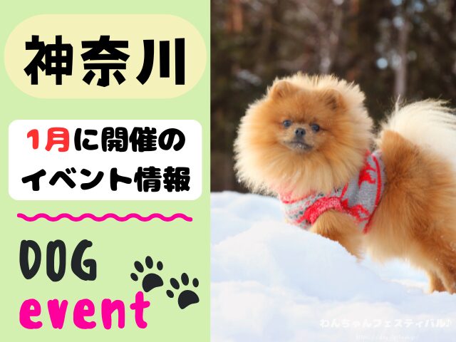 犬イベント　関東地区　東京都　千葉県　神奈川県　埼玉県　群馬県　栃木県　茨城県　2025年　1月