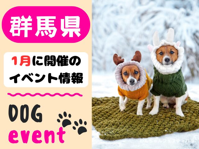 犬イベント　関東地区　東京都　千葉県　神奈川県　埼玉県　群馬県　栃木県　茨城県　2025年　1月