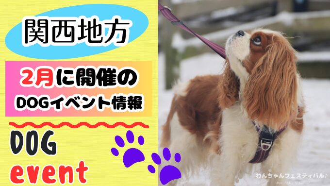 関西　犬イベント　一覧　開催場所　日程　2026　2月　大阪府　京都府　兵庫県　奈良県　滋賀県　和歌山県