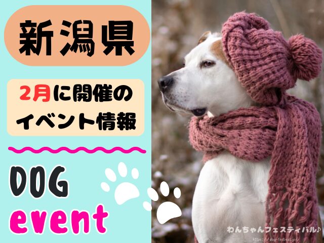 犬イベント 北陸地方 新潟県 富山県 石川県 福井県 2026年 2月