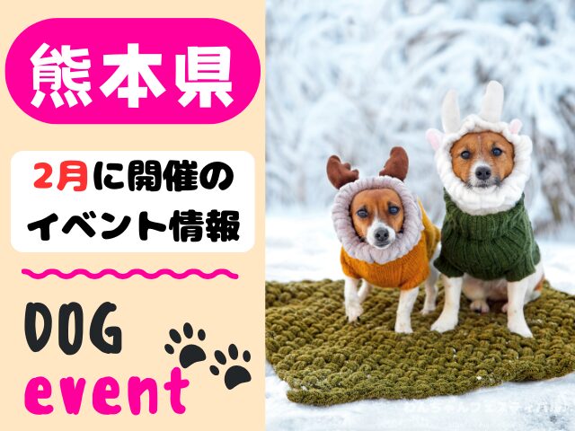 犬イベント　九州　福岡県　佐賀県　長崎県　熊本県　大分県　宮崎県　鹿児島県　2026年　2月