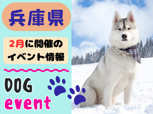 関西　犬イベント　一覧　開催場所　日程　2026　2月　大阪府　京都府　兵庫県　奈良県　滋賀県　和歌山県