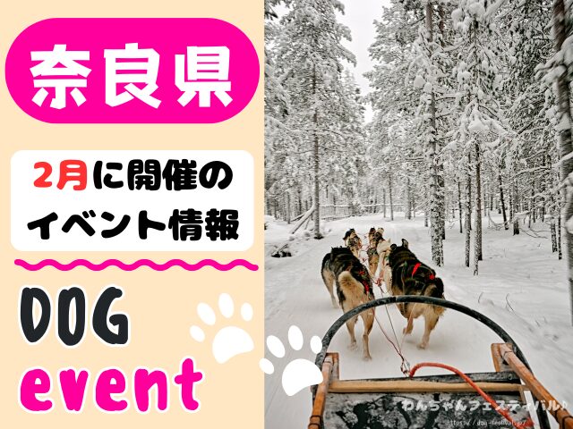 関西　犬イベント　一覧　開催場所　日程　2026　2月　大阪府　京都府　兵庫県　奈良県　滋賀県　和歌山県