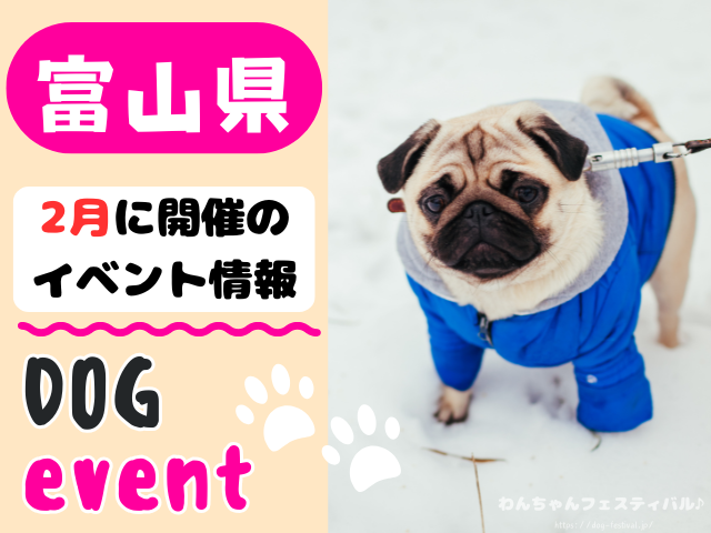 犬イベント 北陸地方 新潟県 富山県 石川県 福井県 2026年 2月