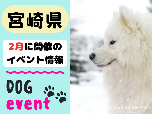 犬イベント　九州　福岡県　佐賀県　長崎県　熊本県　大分県　宮崎県　鹿児島県　2026年　2月