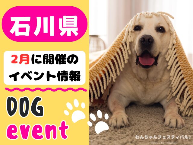 犬イベント 北陸地方 新潟県 富山県 石川県 福井県 2026年 2月