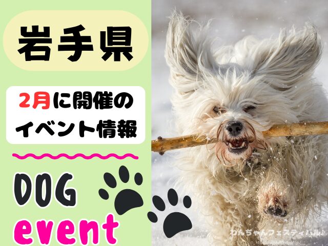 犬イベント　東北地方　青森県　岩手県　秋田県　宮城県　山形県　福島県　2026年　2月