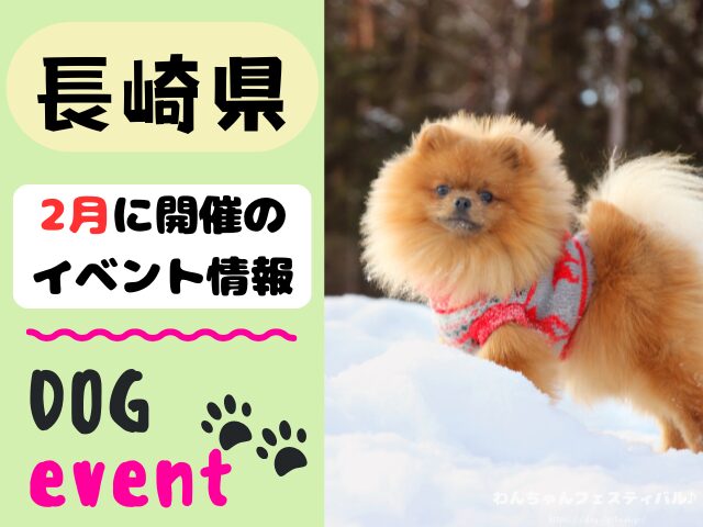 犬イベント　九州　福岡県　佐賀県　長崎県　熊本県　大分県　宮崎県　鹿児島県　2026年　2月