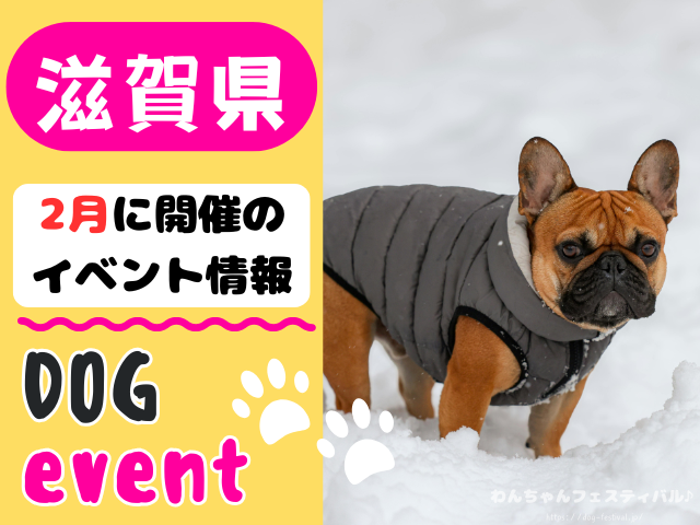 関西　犬イベント　一覧　開催場所　日程　2026　2月　大阪府　京都府　兵庫県　奈良県　滋賀県　和歌山県