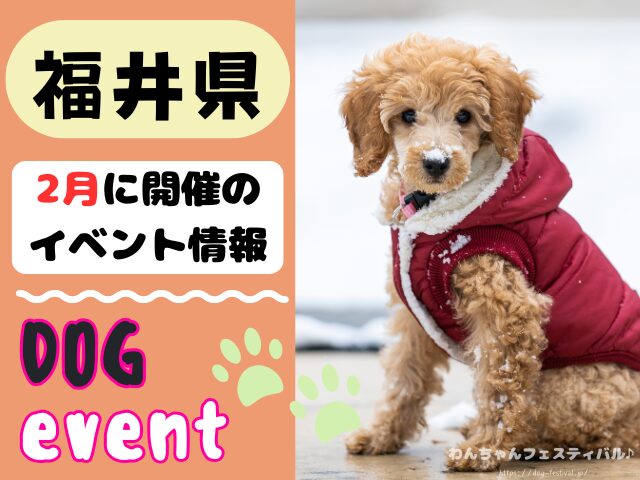 犬イベント 北陸地方 新潟県 富山県 石川県 福井県 2026年 2月