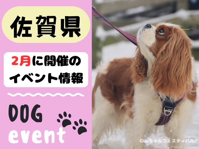 犬イベント　九州　福岡県　佐賀県　長崎県　熊本県　大分県　宮崎県　鹿児島県　2026年　2月
